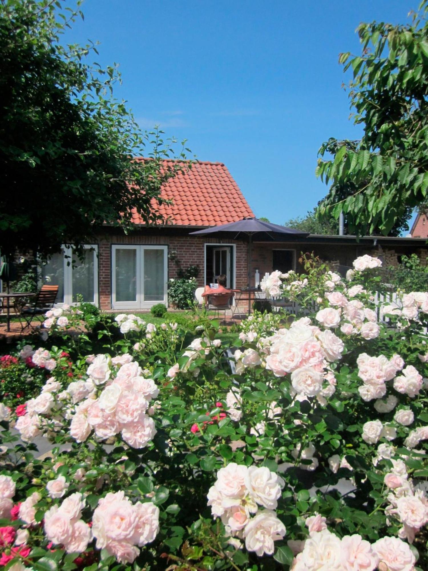 Апартаменты "Rosenkate 1" Riepsdorf Экстерьер фото